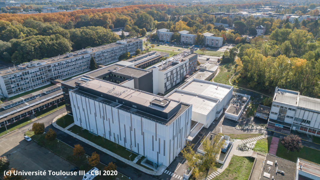 (c) Université Toulouse III - CBI 2020