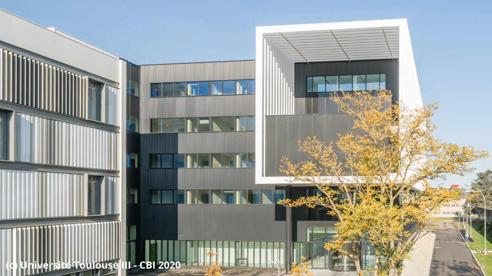 University_Toulouse1%20_%20copyright_UniversiteToulouseIIICBI2020