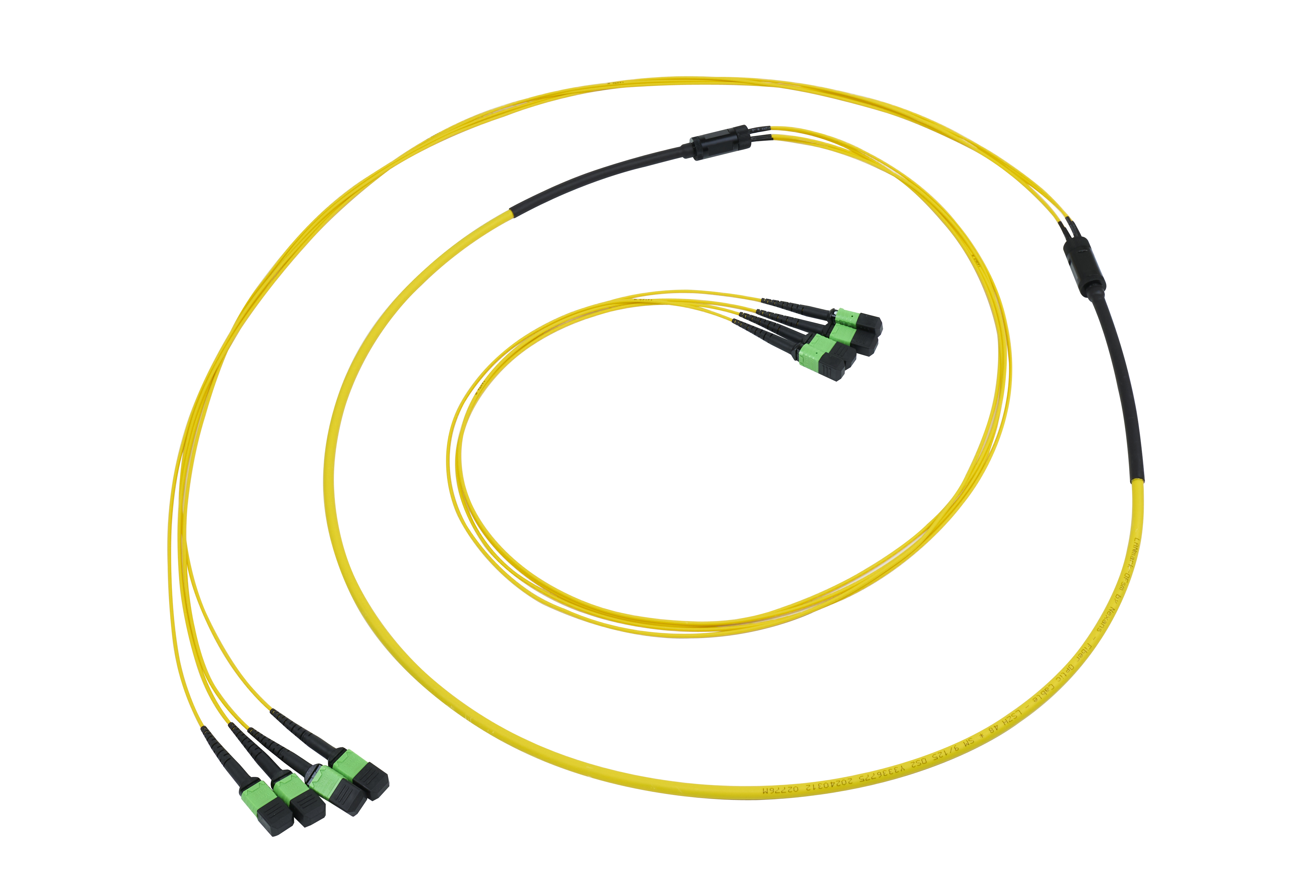 Preterm fiber