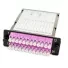 Enp_Mdl8Vi_2.png