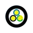 FR-RYYP