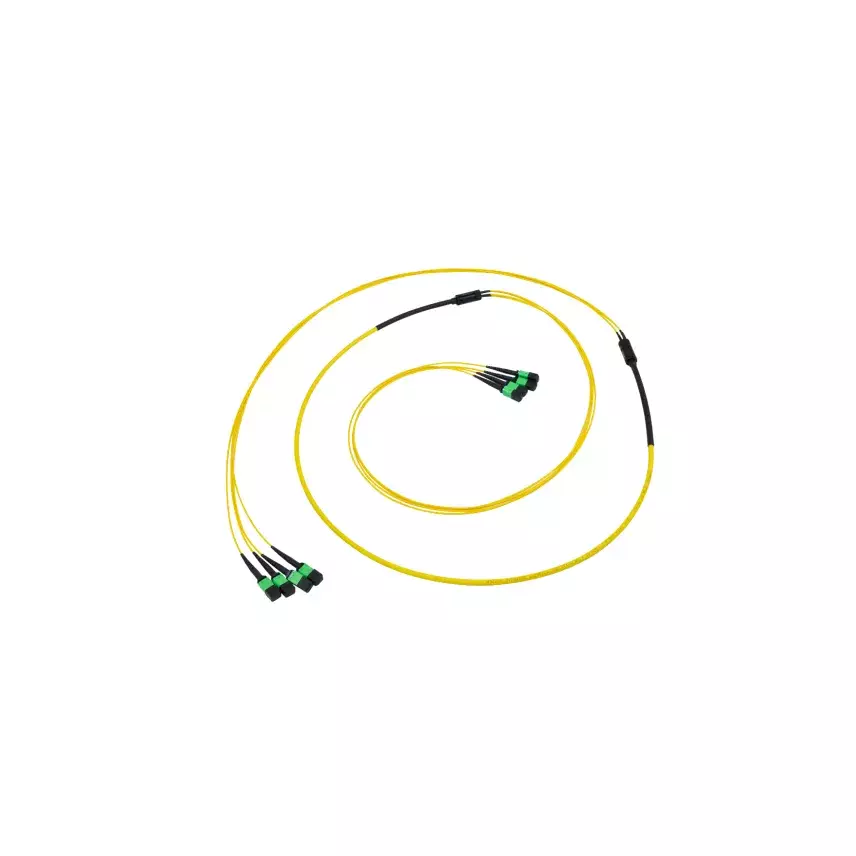 Preterm Base8 32F OS2