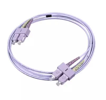 PP_VIOLET