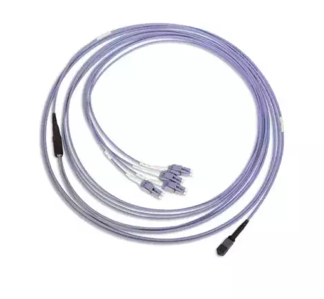 SS_Violet