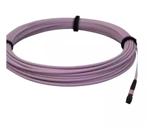 nn_Violet