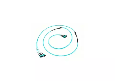 Preterm Base8 32F OM4
