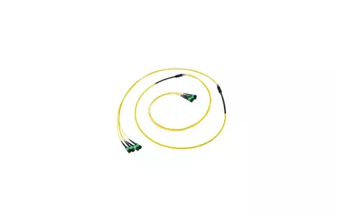Preterm Base8 32F OS2