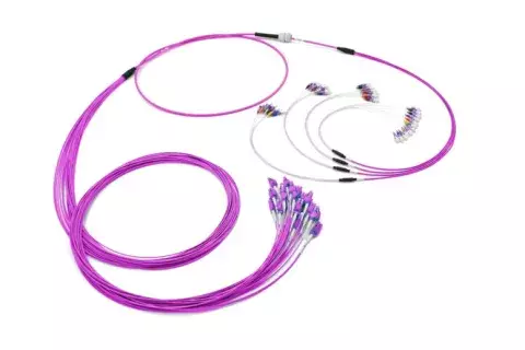 Patching assemblies 48OM4 Violet.png