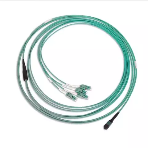 MPO-4DLC